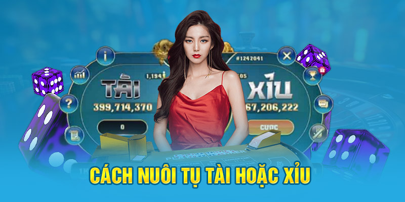 Cách nuôi tụ tài hoặc xỉu