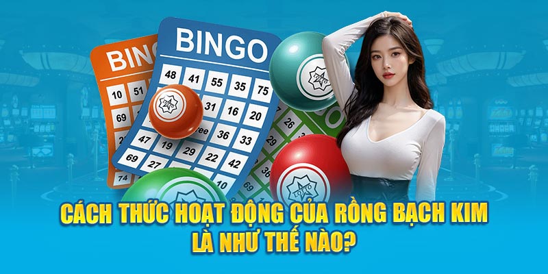 Cách thức hoạt động của rồng bạch kim là như thế nào?