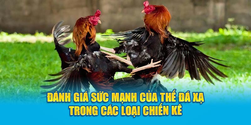 Đánh giá sức mạnh của thế đá xạ trong các loại chiến kê