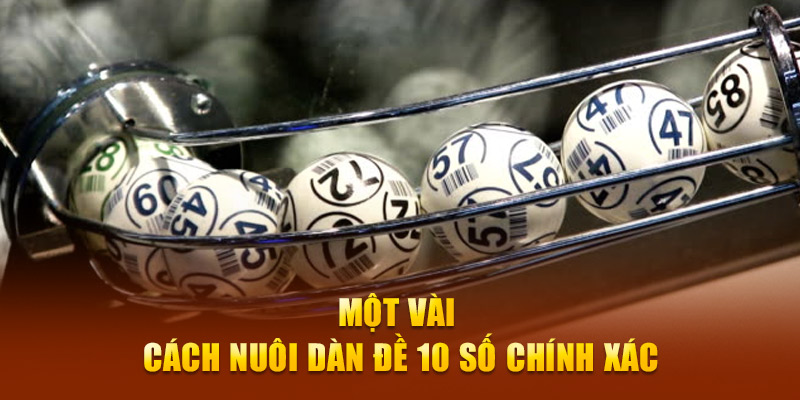 Một vài cách nuôi dàn đề 10 số chính xác