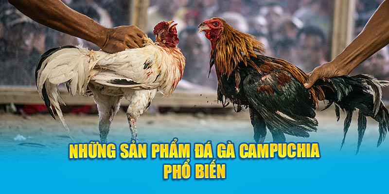 Những sản phẩm đá gà Campuchia phổ biến