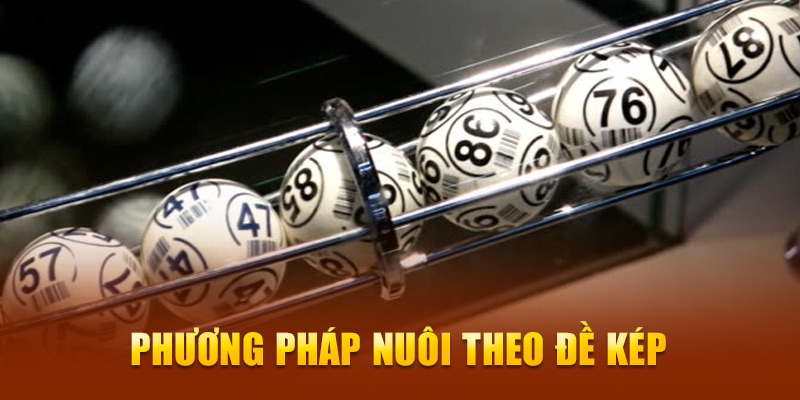 Phương pháp nuôi theo đề kép