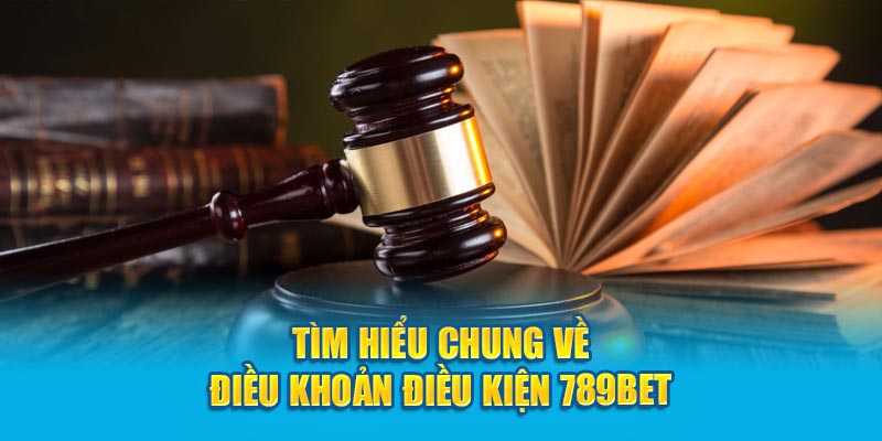 Tìm hiểu chung về điều khoản điều kiện 789Bet